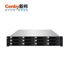 Cenby新邦RS-400分布式存储（普通混闪型）2U12 盘位  双国产8核128GB缓存25Gb万兆光纤口企业级集群存储