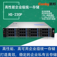 Cenby新邦HS-230S 企业级专业存储12盘位双电高 性价比千兆网络存储288T